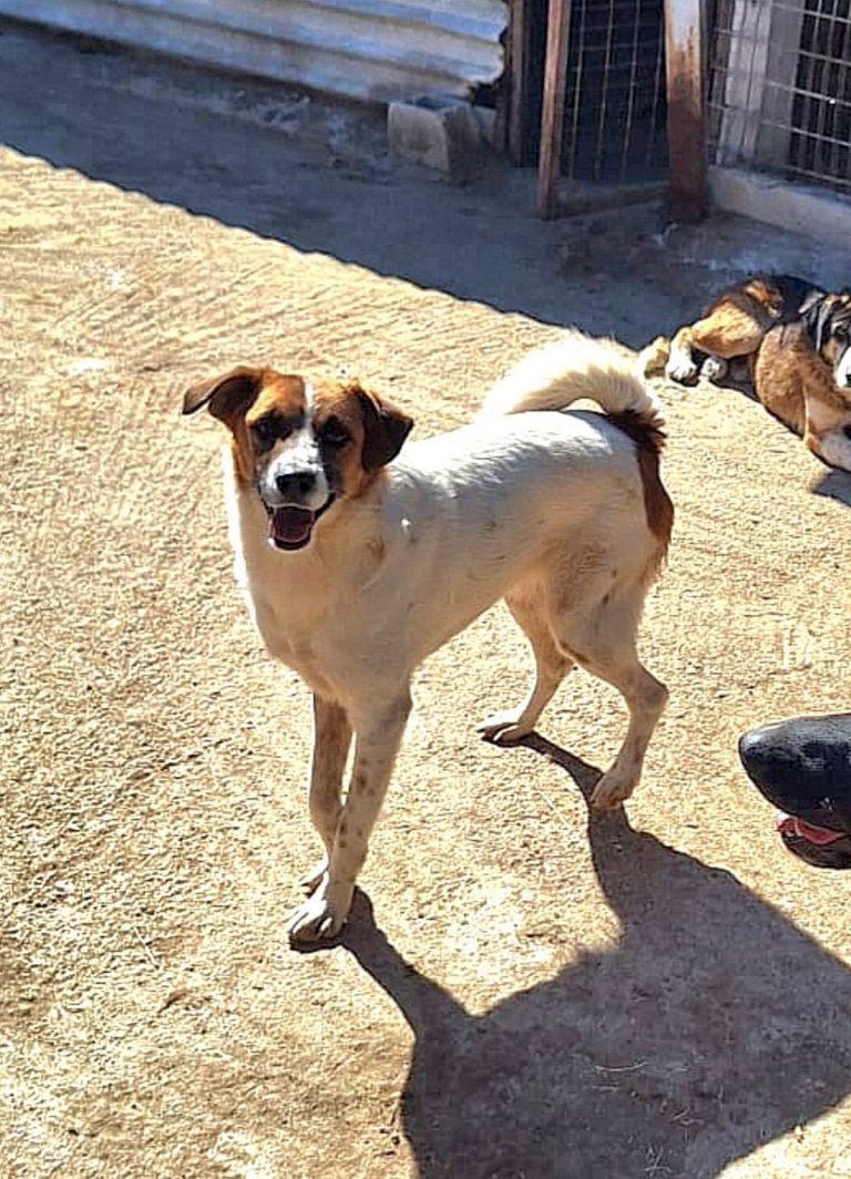 H0011_DakotaDelfin_028