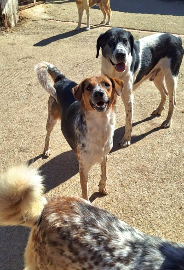 H0038_MelodyLove_001