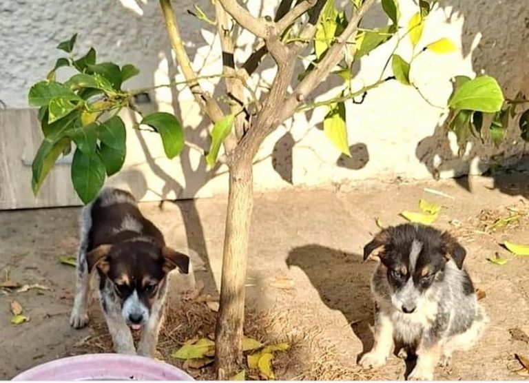 H0038_MelodyLove_004