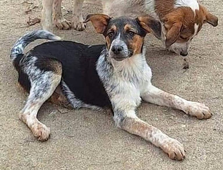 H0038_MelodyLove_008