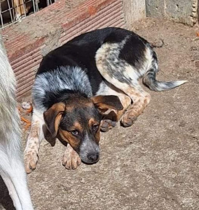 H0038_MelodyLove_016