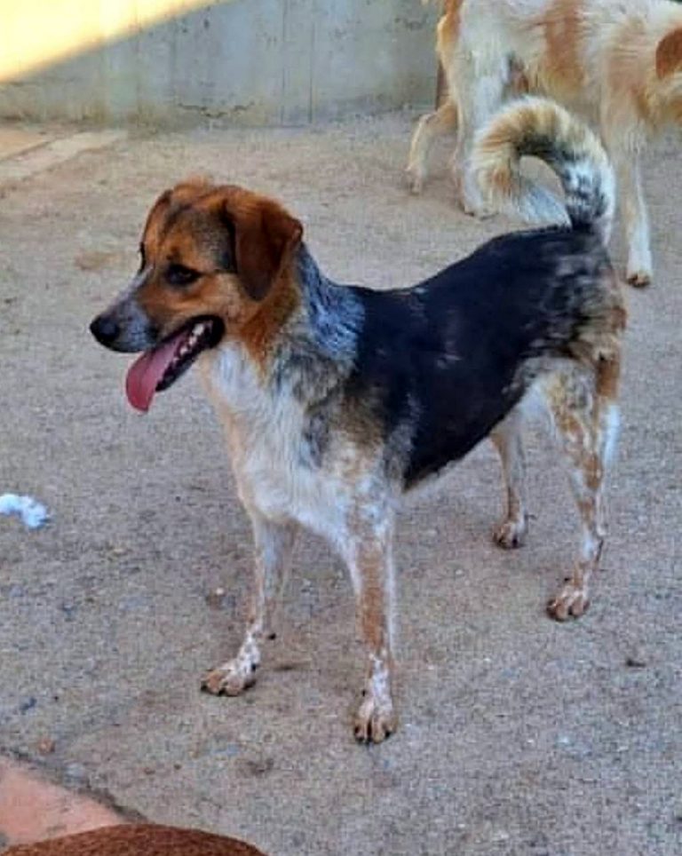 H0038_MelodyLove_043