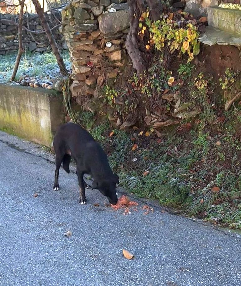 H0072_NamelessBeauties_004