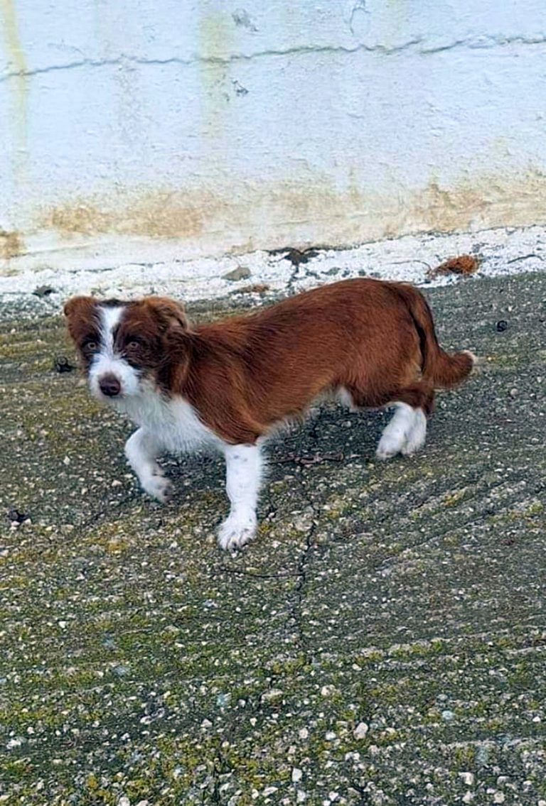 H0072_NamelessBeauties_005