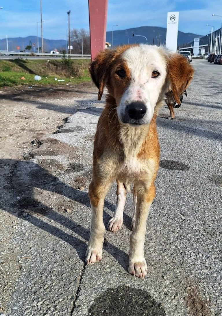 H0072_NamelessBeauties_013