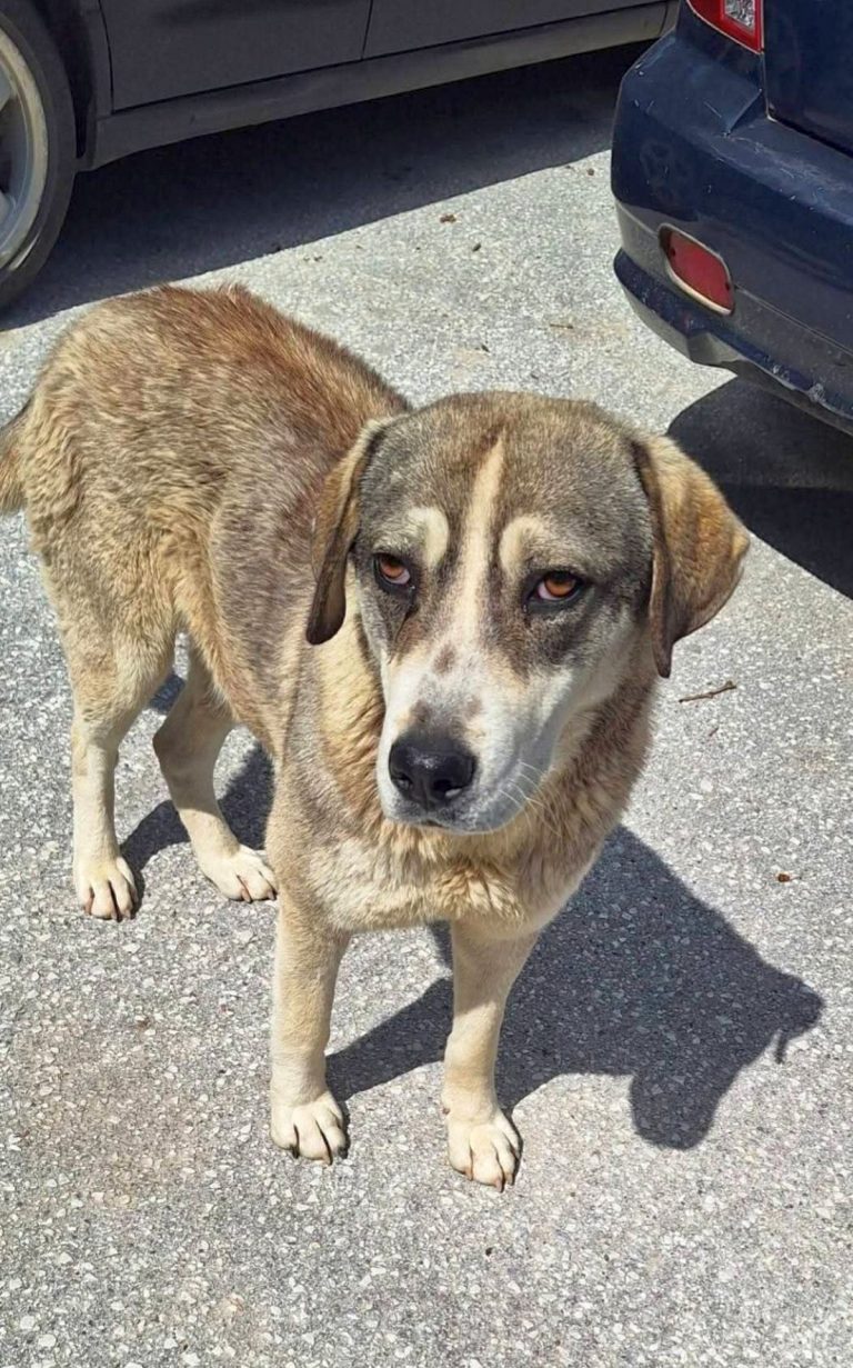 H0072_NamelessBeauties_064