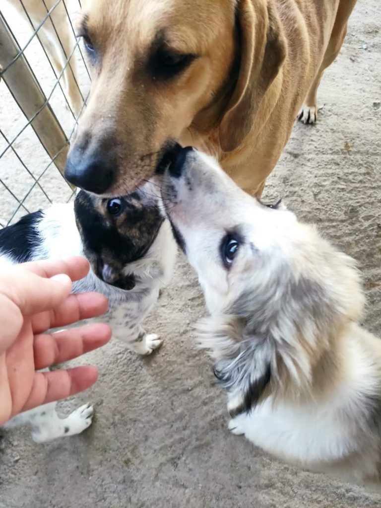 470076107_1132717764933077_8212949610775784715_n