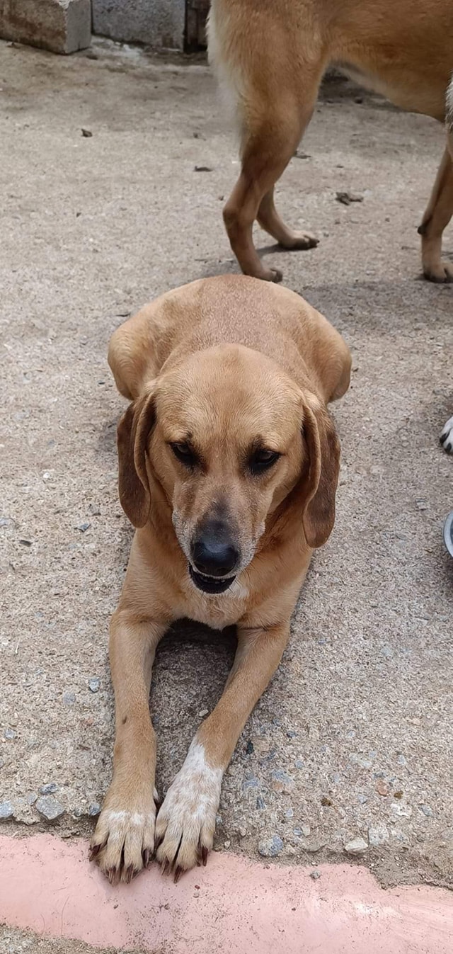 471681906_1144441530427367_7522166666935102167_n