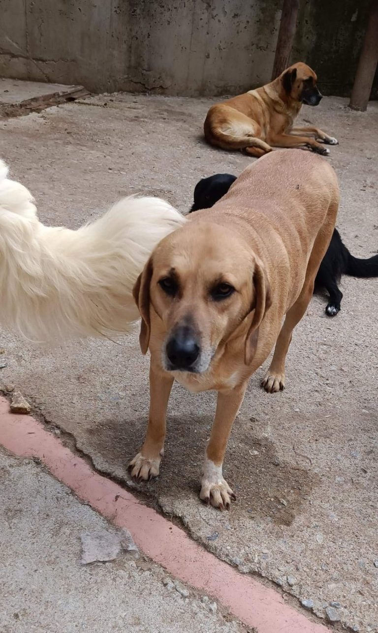 472142620_1144441577094029_2373488735047134219_n