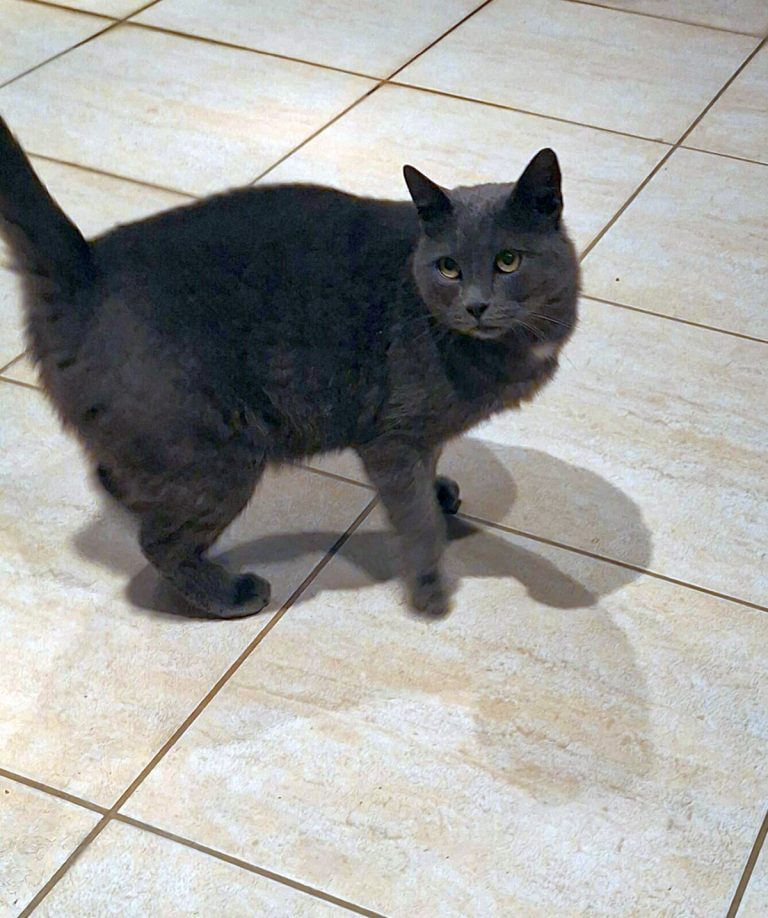 K0006_Moutzouris_003