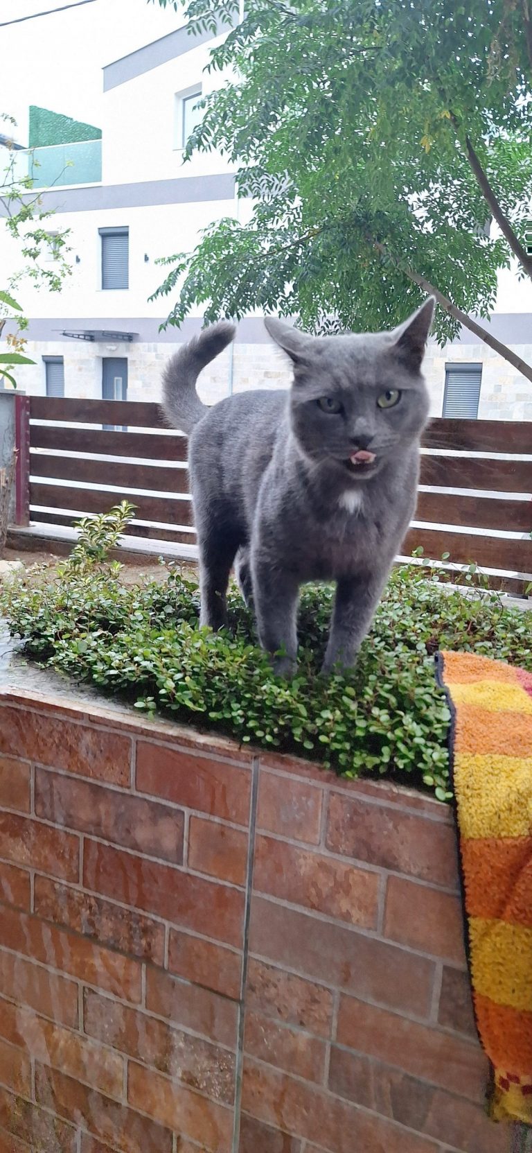 K0006_Moutzouris_017