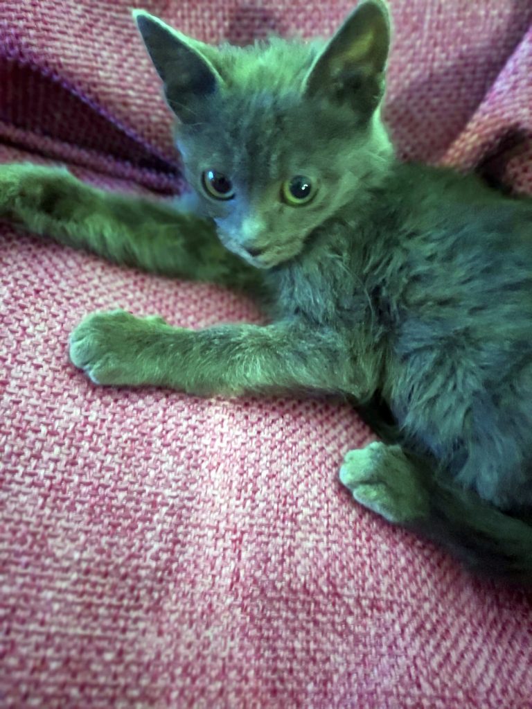 K0006_Moutzouris_059