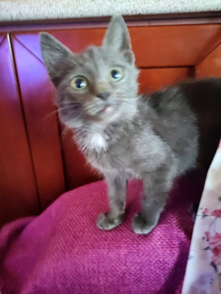 K0006_Moutzouris_070